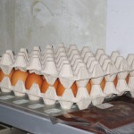 Le uova